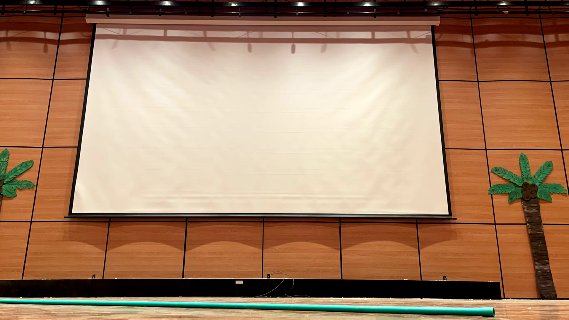 Videoproyectores Profesionales